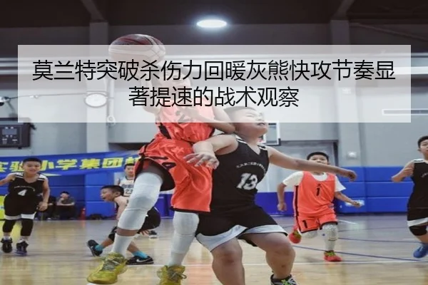img_1785329990833_551_1_750.jpg